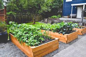 And raised beds keep your space tidy. Site Selection For Edible Gardens Seattle Urban Farm Company