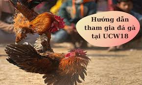Hệ thống link trực tiếp bóng đá của những giải đấu hấp dẫn như : Ucw18 Link Vao Trang Chá»§ Ä'a Ga Ucw18