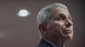 Anthony fauci told the washington post: Znjpdfiepwp1cm