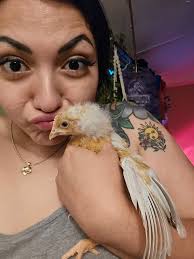 Should I be worried if ducks don't use the heating plate?