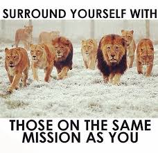 Strength In Numbers Edify And Strengthen One Another Inspirational Quotes Lion Quotes Life Quotes