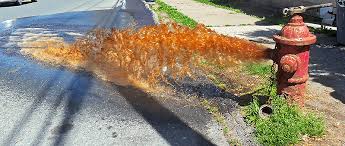 Buy a product called frontier metal cleaner. Best Iron Filter For Well Water 7 Reviews How To Remove Iron From Well Water