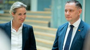 Tino chrupalla ist ein deutscher politiker. Spitzenkandidaten Der Afd Gewahlt Zdfheute