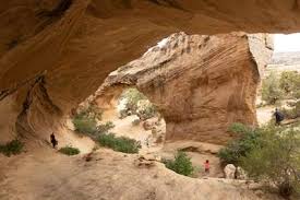 Image result for Earth Brown 2020 Fleet