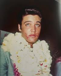 What are your plans for the vigil tomorrow?