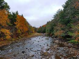Free camping in pa for customer purchasing a new or used rv from fretz rv. Free Camping In Pennsylvania Endless Mountains Experience