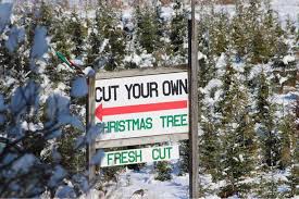 Thanks for voting us #1 christmas tree farm in the metro detroit area in wdiv's vote for the best competition. Candy Cane Farm Home Facebook