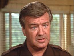 Ron Masak filmography