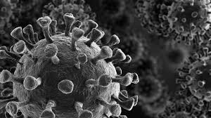 In humans and birds, they cause respiratory tract infections that can range from mild to lethal. Covid Ct Update Drug Overdose Increase In Connecticut Linked To Coronavirus Pandemic Abc7 New York