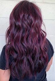 Attention all natural dark brunettes! Plum Deep Plum Dark Purple Hair