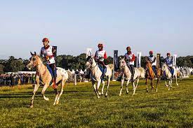 Maybe you would like to learn more about one of these? Equestrian Nation Spain