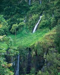 Contact ile de la réunion on messenger. La Reunion Paradies Fur Anfanger Brigitte De