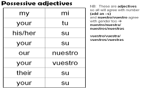 possessive adjectives possessive adjectives spanish