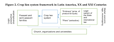 Conditions And Processes Where Youth Energize Family Agriculture Cooperative Movement Winds Of Peace Foundation Accompaniment In Nicaragua