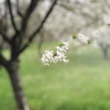 Prognoza Meteo Vremea Se Va IncÄƒlzi SÄƒptÄƒmana Viitoare Dar Va Fi Mai Rece Decat De Obicei In Perioada 1 8 Martie Hotnews Mobile