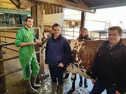 Regroupés par quartiers par territoires en partenariat avec la région grand est et ses partenaires touristiques, le réseau des chambres d'agriculture du grand est valorise tout au long. Yvetot Jalousie Au Salon De L Agriculture