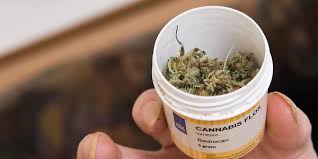 Cannabis Auf Rezept Boomt Herr Doktor Ich Brauche Gras Mopo De