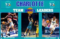 Sports chicago reminded me of jerry krause's fondness for bringing in veteran players to add to the. Charlotte Hornets Sports Poster Warehouse