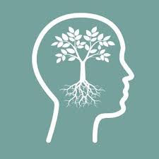 Look no further than munholland tree service. Mulholland Tree Surgery Home Facebook