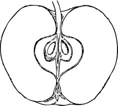 Lucu 13 sketsa gaun menggunakan makanan fashion fimela com. Vektor Clipart Scheibe Des Apfels In Schwarz Und Weiss Public Domain Vektoren