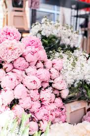 Columbia Road Flower Market The Style Scribe Columbia Road Flower Market Flower Market Flowers