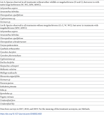 Image result for Harpachne schimperi