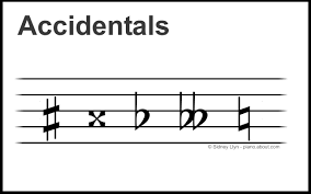 You say or write g sharp or g#, not sharp g. single accidentals single accidentals raise or lower the pitch of a note by a half step. What Is An Accidental In Music