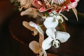 Fairy Godmother Wedding Services ...