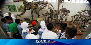 Museum yang menyimpan beragam koleksi materi dan informasi geologi ini sangat edukatif. Komentar Berita Pengunjung Museum Geologi Bandung Meningkat