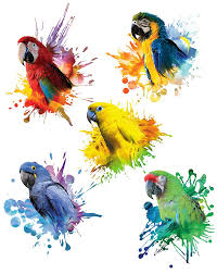 Estampas Arara Vermelha Ara Chloropterus Arara Caninde Ara Ararauna Arara Azul Anodorhynchus Hyacinthinus Araraju Parrots Art Bird Art Bird Drawings
