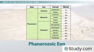 the history of life on earth timeline and characteristics of major eras