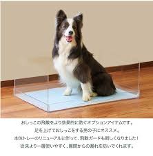 楽天市場 oft 正規品 クリアレット2 l スーパーワイドシーツサイズ おすすめ ランキング 人気 ロングセラー トレー おしゃれ パピー 犬 トイレ おしゃれ 透明 ドッグ アクリル デザイナーズ oft store 楽天市場店 犬 犬の部屋 犬のトイレ