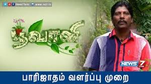 Free Download Parijatham Flowers In Tamil Jiorockers Tags parijatham 720p movie parijatham full movie online parijatham hdrip online putlocker parijatham tamil movie online watch parijatham tamil movie dvdrip walter (2020) tamil full movie watch online free.