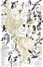 Green Wave Explains Migratory Bird Routes Bird Migration Bird Migration Map Bird Illustration