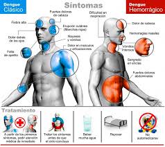 Resultado de imagen para imagenes del dengue