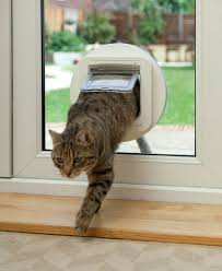 Fuhlen Sie Sich Mit Der Sureflap Microchip Cat Door Wie Zu Hause Cat Der Door Fuhlen Hause Microchip Mit Sich Katzentur Katzen Zeug Katzchen Pflege
