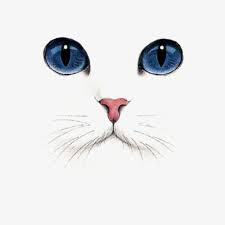 Catreference Animal Paintings Hand Painted Cat Cat Illustration