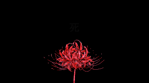 Use them as wallpapers for your mobile or desktop screens. Red Desktop Aesthetic Wallpapers Wallpaper Cave