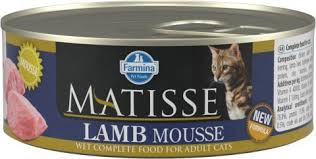 Yas Kedi Mamasi Fiyatlari Ve Cesitleri