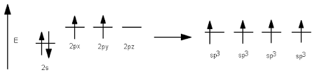 Orbital Diagram For Sp3 Reading Industrial Wiring Diagrams