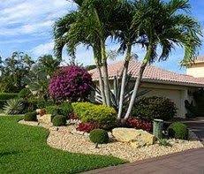 Image Result For South Florida Native Landscaping Palms Ideas Beautiful Gardens Landscape Florida Landscaping Tropical Landscaping