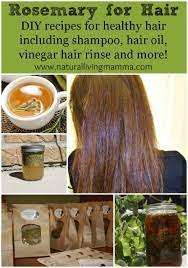 Rosemary For Hair Hair Oil Shampoo And Rinse With Rosemary Natural Living Mamma Hair Oil Rosemary For Hair Diy Hair Care