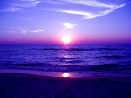 Bring museum quality art into your home or office decor with a canvas print that will never warp or sag. Beaches Shore Sky Purple Beach Reflection Serenity Purple Sunsets On The Beach 962x721 Wallpaper Teahub Io
