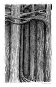 Into The Dark Forest Repin By Pinterest For Ipad Tree Art Dark Forest Art