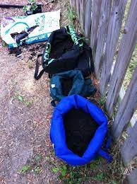 Use Reusable Grocery Bags To Grow Potatoes Growing Potatoes In Bags Growing Potatoes Planting Potatoes