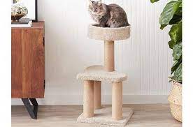 Kmart Cat Scratching Post Nz Kitty Cat Make Up Cat Scratching Post Black Sock Kitten Diy Cat Scratching Post Cat Scratching Cat Scratching Post