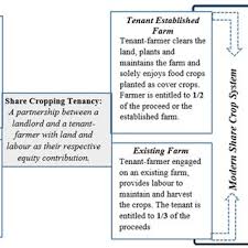 Pdf Sharecropping Arrangement In The Contemporary Agricultural Economy Of Ghana A Study Of Techiman North District And Sefwi Municipality Ghana