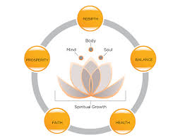 Pin By Jackie N Manivanh On Inform Empower Transform Lotus Flower Meaning Lotus Meaning Lotus Flower Colors
