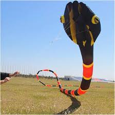 Kites Snake Soft Kites Professional Kites for Adults Kite Flying Steering  Kites Inflatable Kite Large Kite Flying