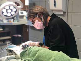 Things like vaccines, flea and tick medication, heartworm preventative, and dental cleanings can help keep your pet from getting sick. Preventive Dental Care Preventive Dentists